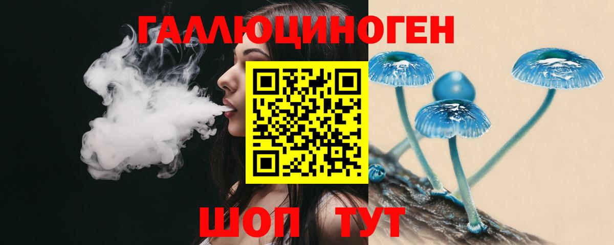 Галлюциногенные грибы прущие грибы  Вход с VPN  Кингисепп 